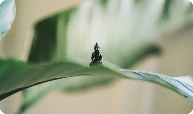 Unsere Angebote im Überblick