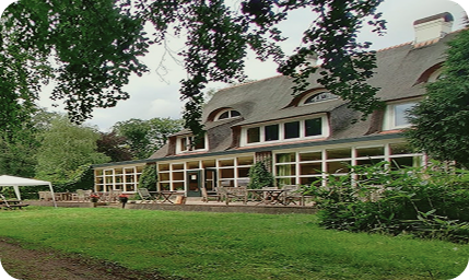 Niederlande | Essence Institute