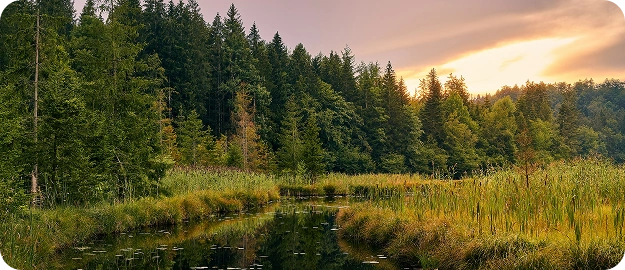 Expedition in meine innere Landschaft (1 Tag)