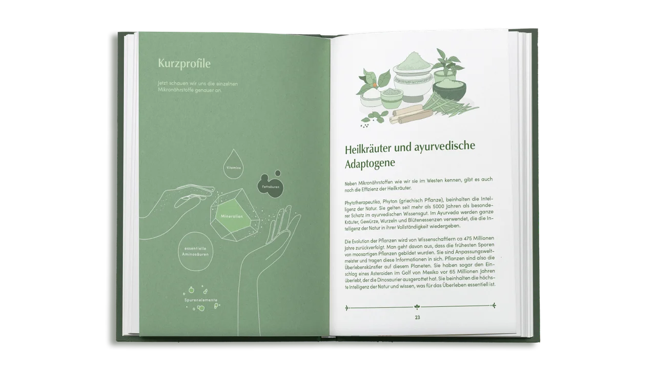 DAYAHEALTH – Buch-Mockup 4